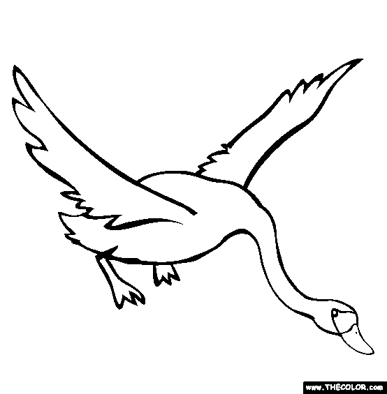 Flying Swan Coloring Page